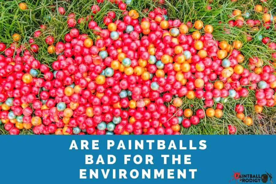 Paintballs aren't bad for the environment